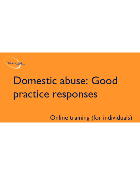 Domestic abuse: Good practice responses (online for individuals)