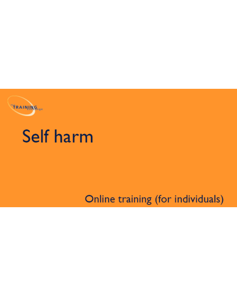 Self harm (online for individuals)