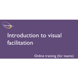 Introduction to visual facilitation (online for teams) 
